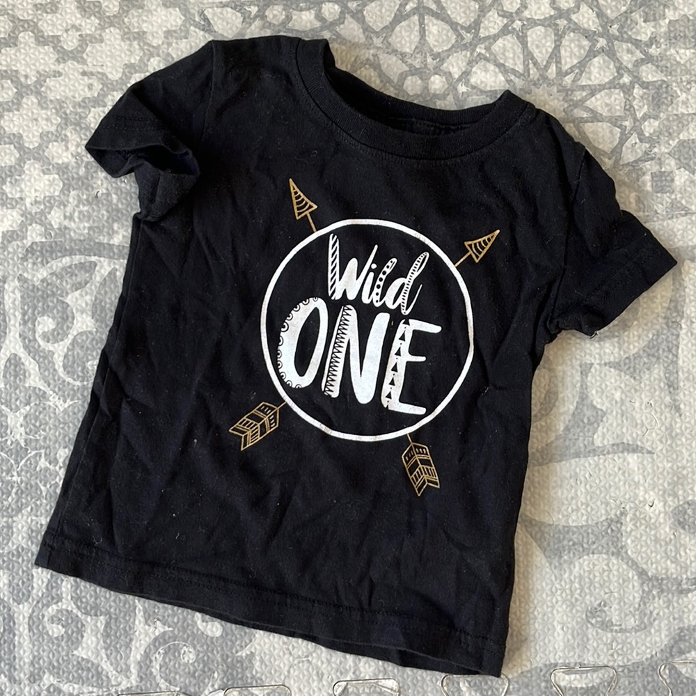 Wild One Birthday T size 12 months- good condition